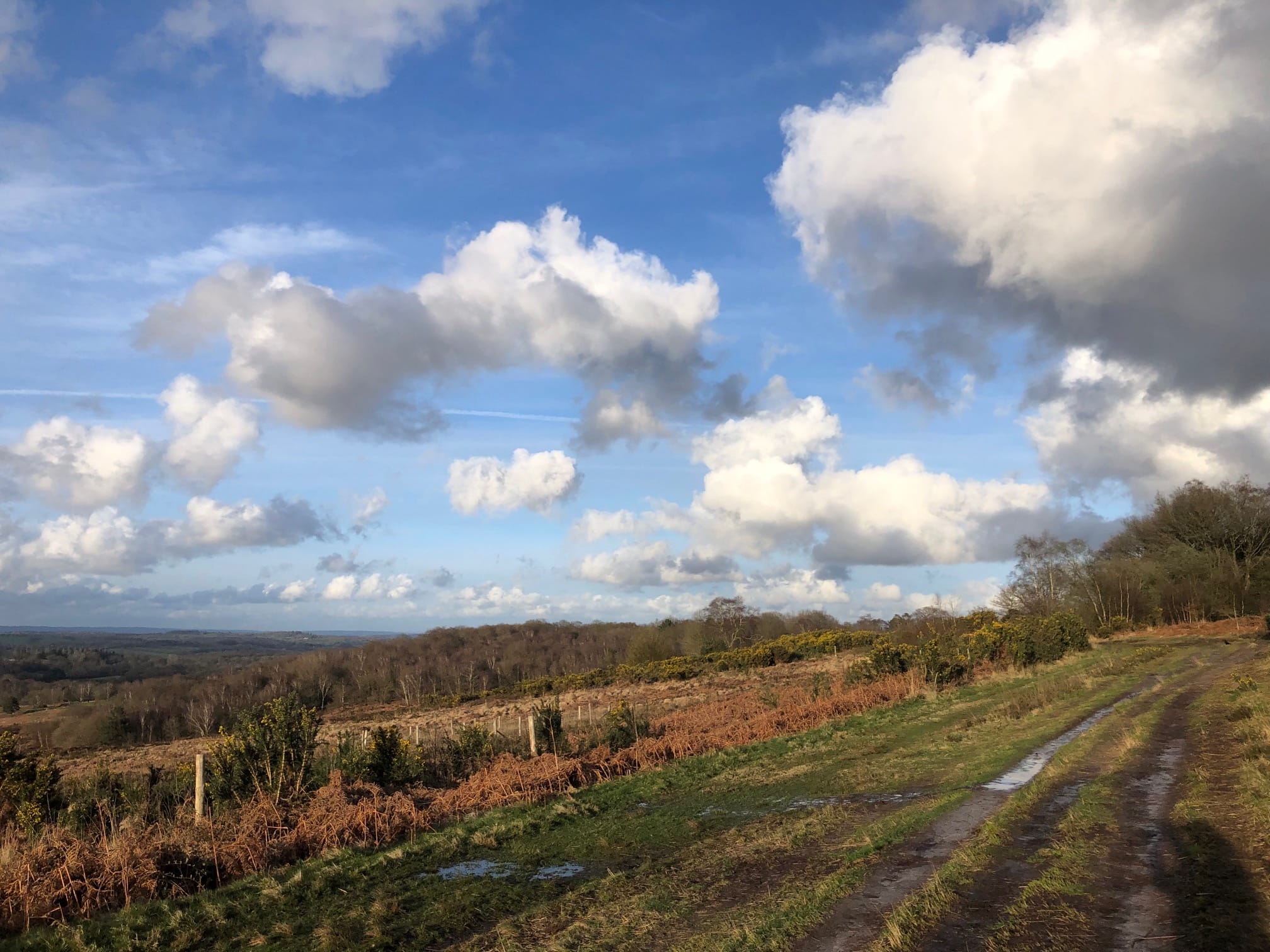 Ashdown Forest, East Sussex