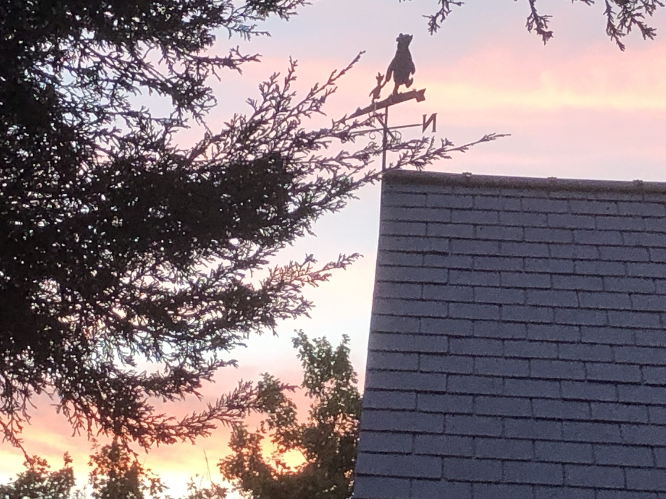 Winnie the Pooh weathervane