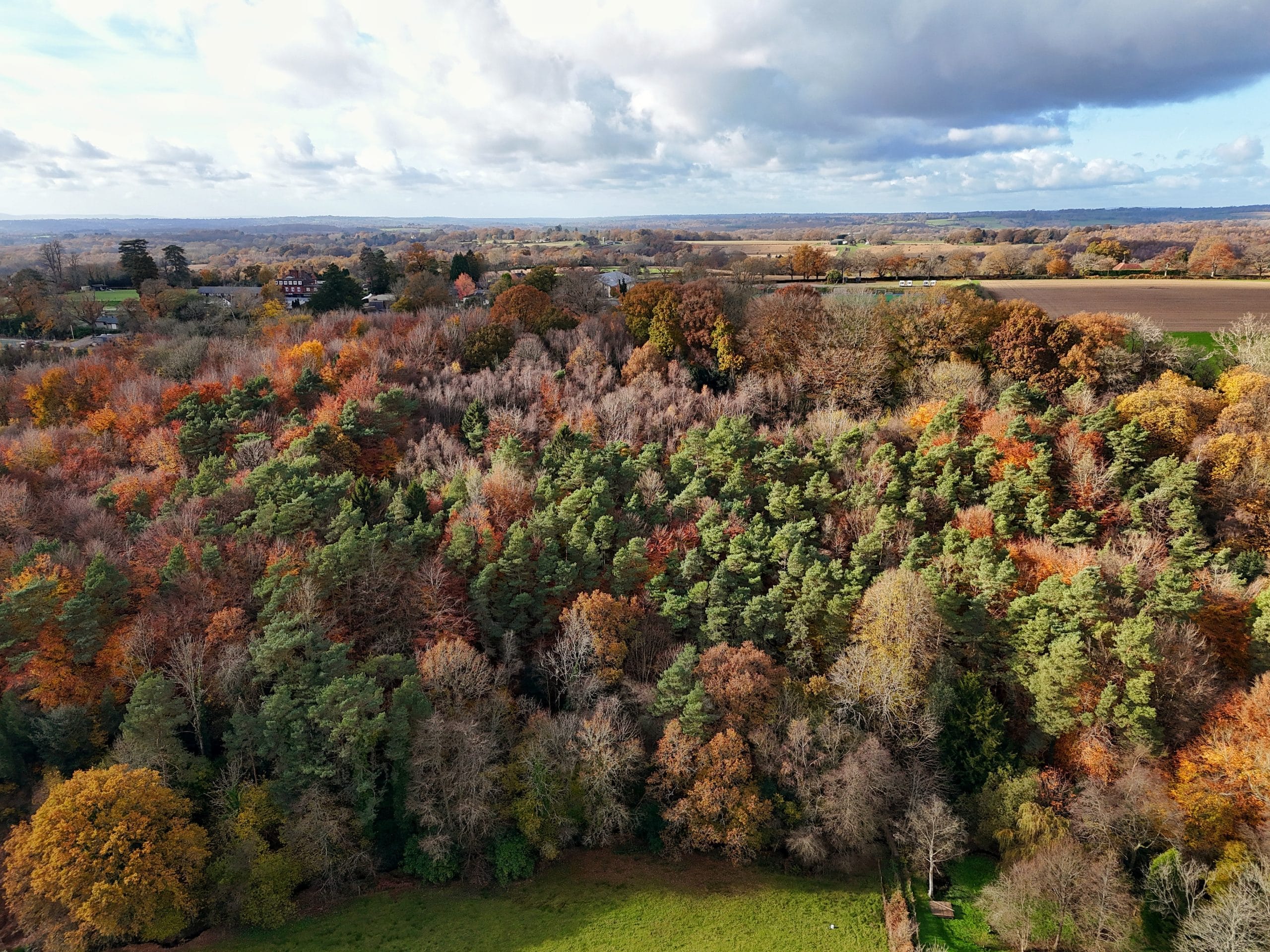 Autumn woods at The Nest Danehill