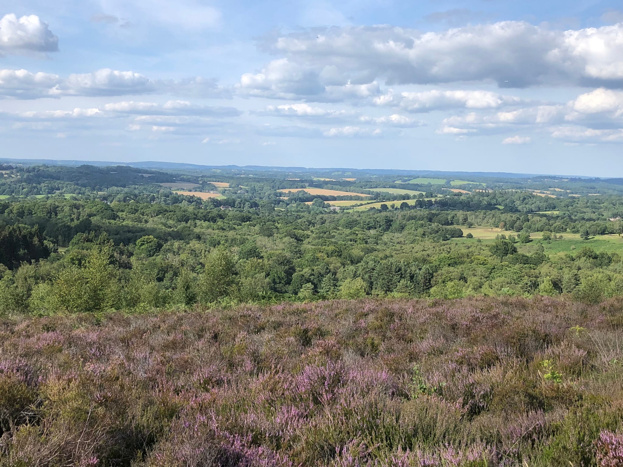 Ashdown Forest East Sussex