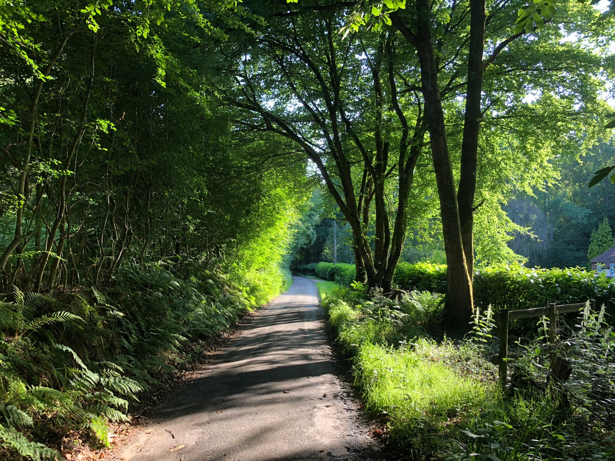 The Nest Danehill country lane