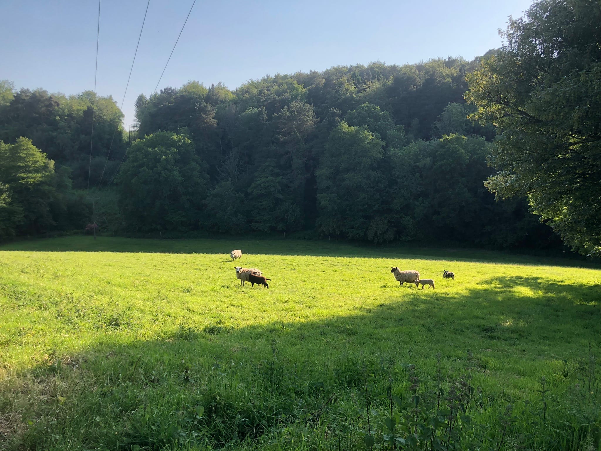 Self-Contained Holiday Cottage Accommodation In Sussex