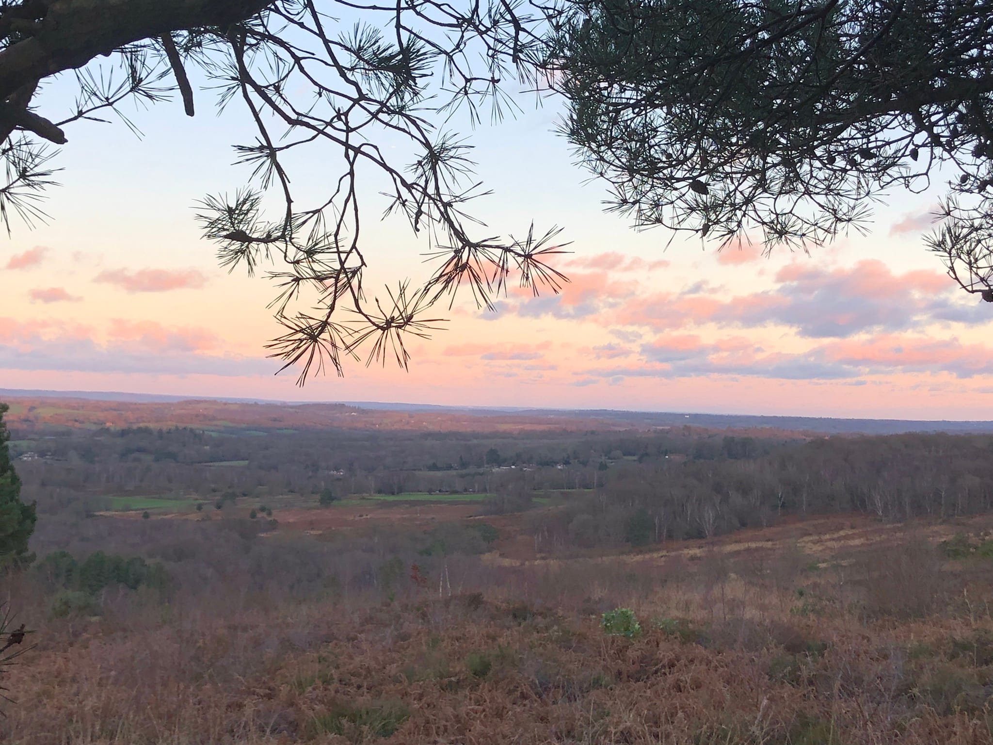 Ashdown Forest sunset