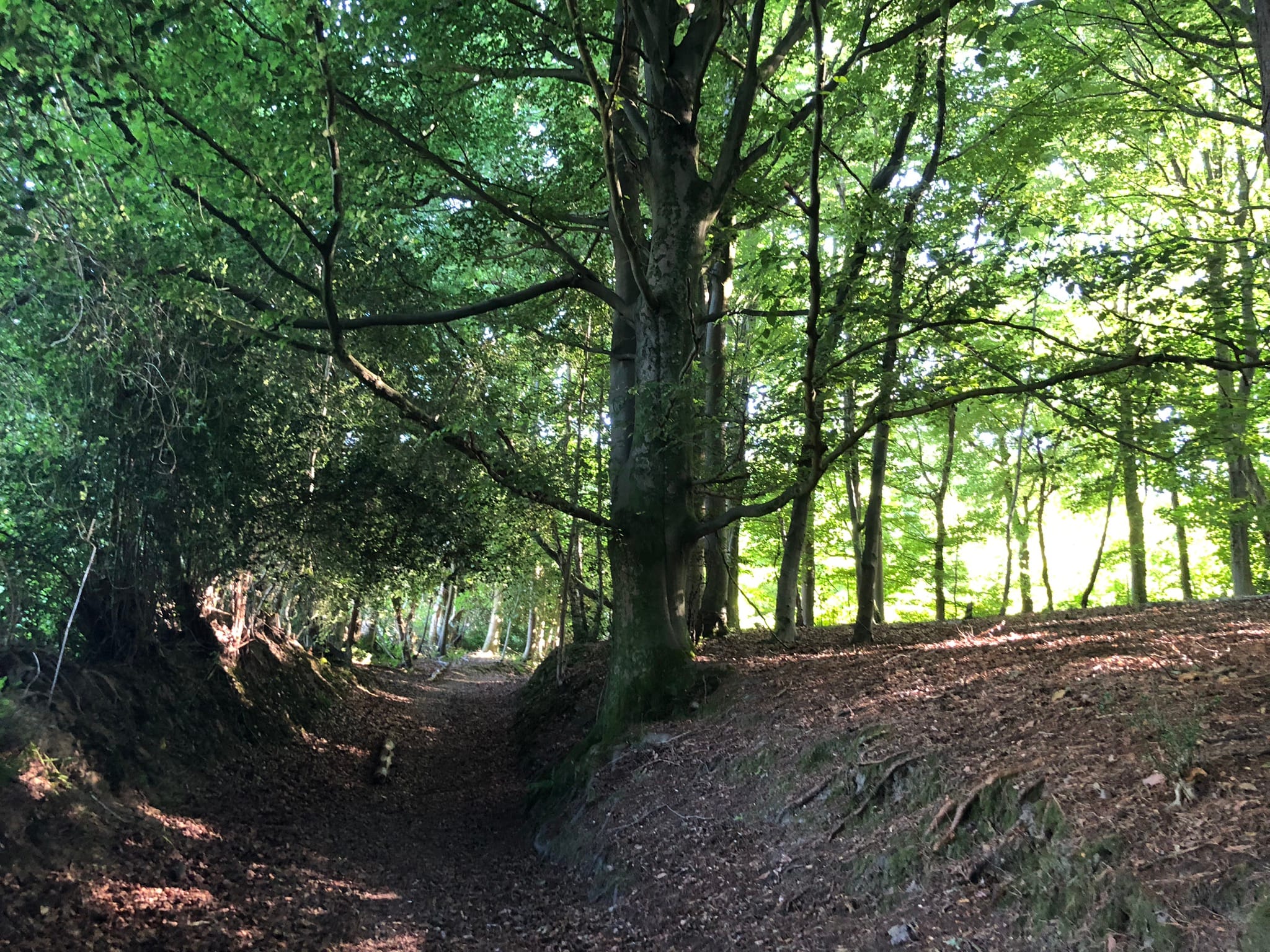 Self-Contained Holiday Cottage Accommodation In Sussex Self-Contained Holiday Cottage Accommodation In Sussex