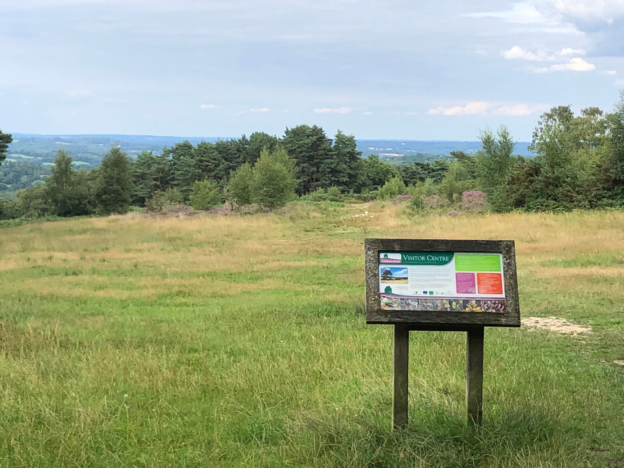 Ashdown Forest