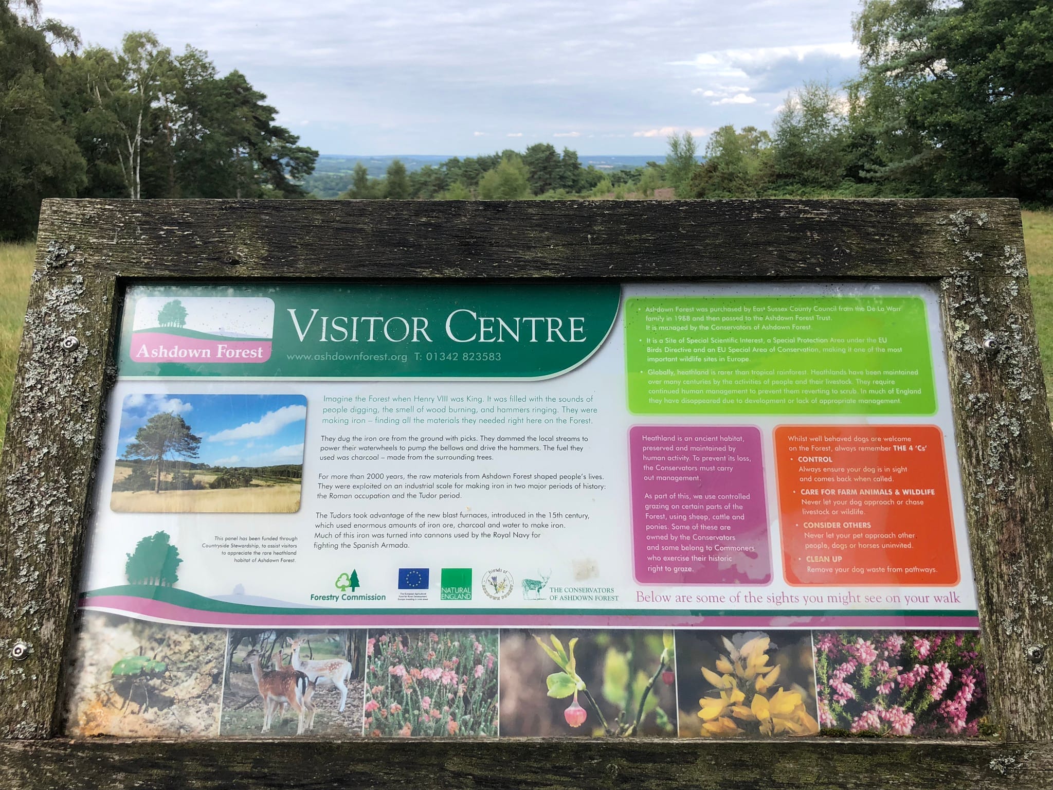 Self-Contained Holiday Cottage Accommodation In Sussex Ashdown Forest Visitor Centre