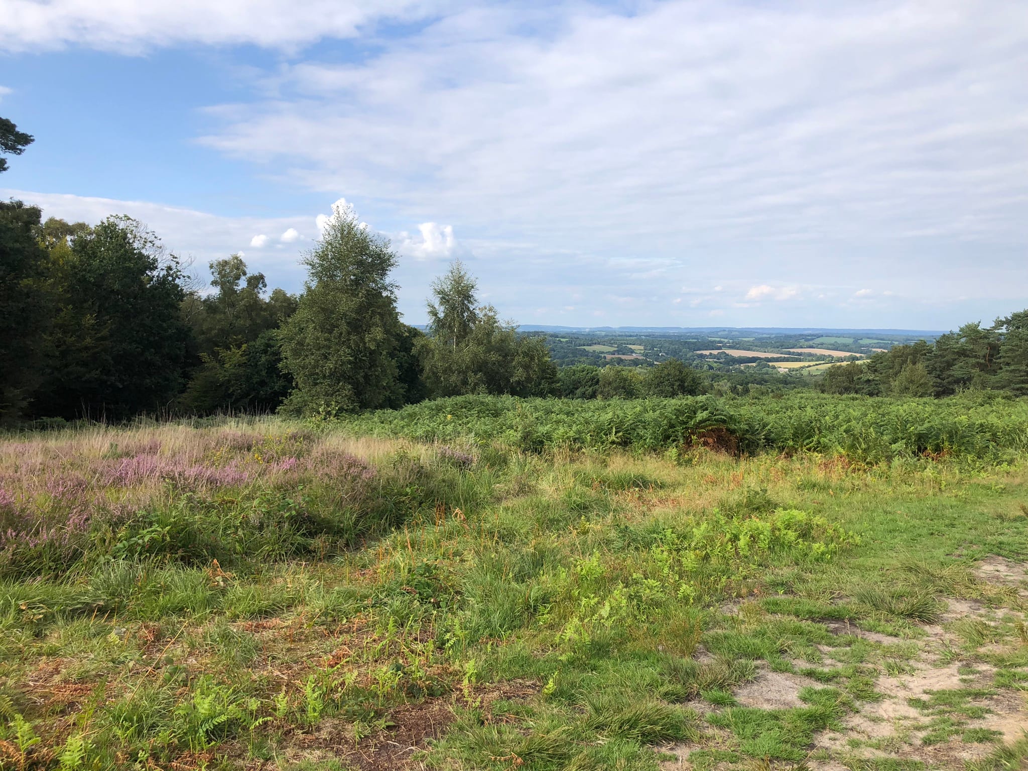 Self-Contained Holiday Cottage Accommodation In Sussex