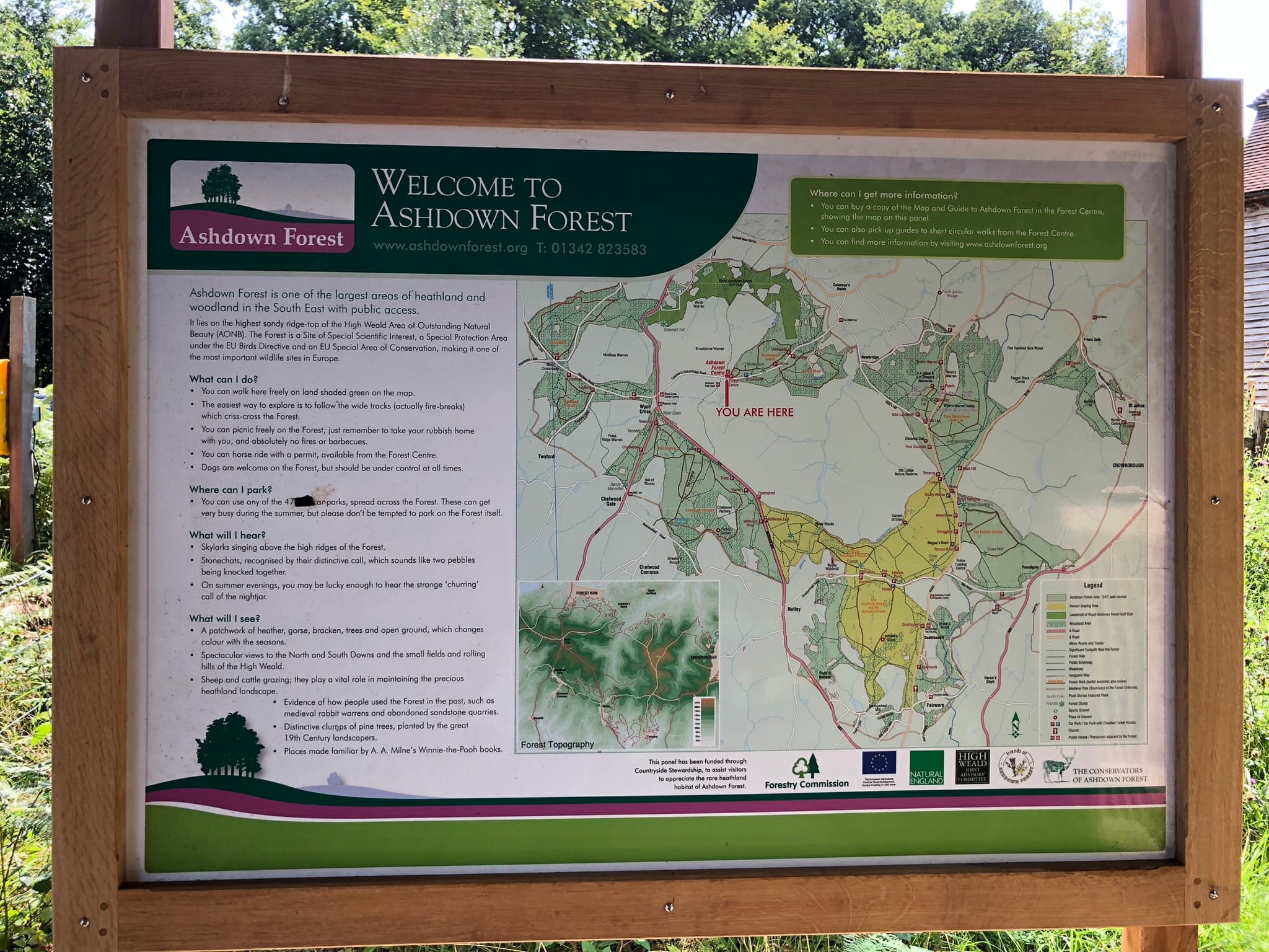 The Ashdown Forest, East Sussex