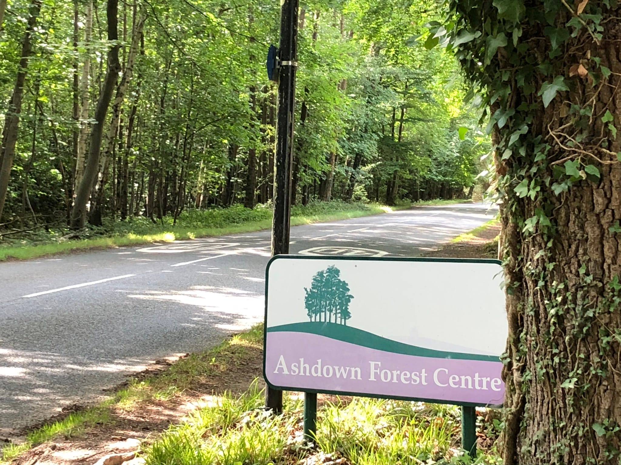 Ashdown Forest Centre