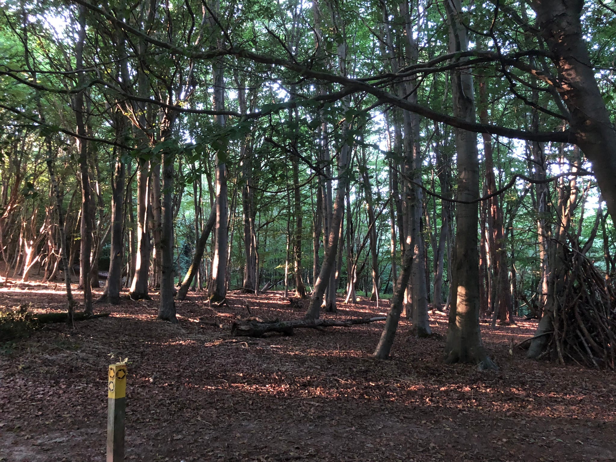 Self-Contained Holiday Cottage Accommodation In Sussex Self-Contained Holiday Cottage Accommodation In Sussex