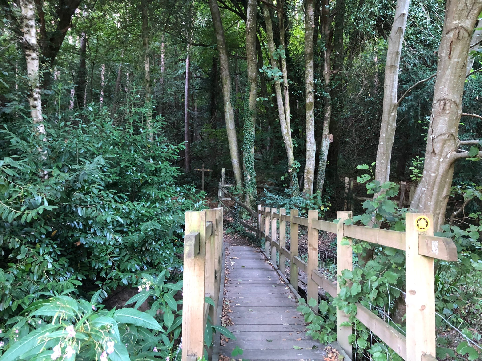 Self-Contained Holiday Cottage Accommodation In Sussex Self-Contained Holiday Cottage Accommodation In Sussex