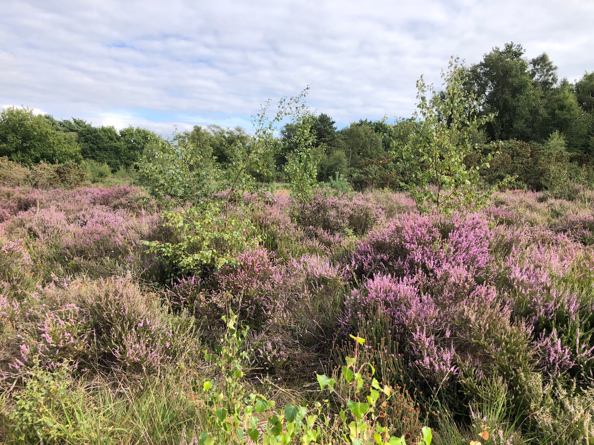 Self-Contained Holiday Cottage Accommodation In Sussex Self-Contained Holiday Cottage Accommodation In Sussex