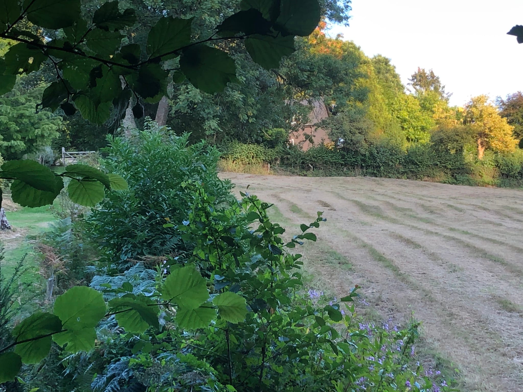 Self-Contained Holiday Cottage Accommodation In Sussex Self-Contained Holiday Cottage Accommodation In Sussex