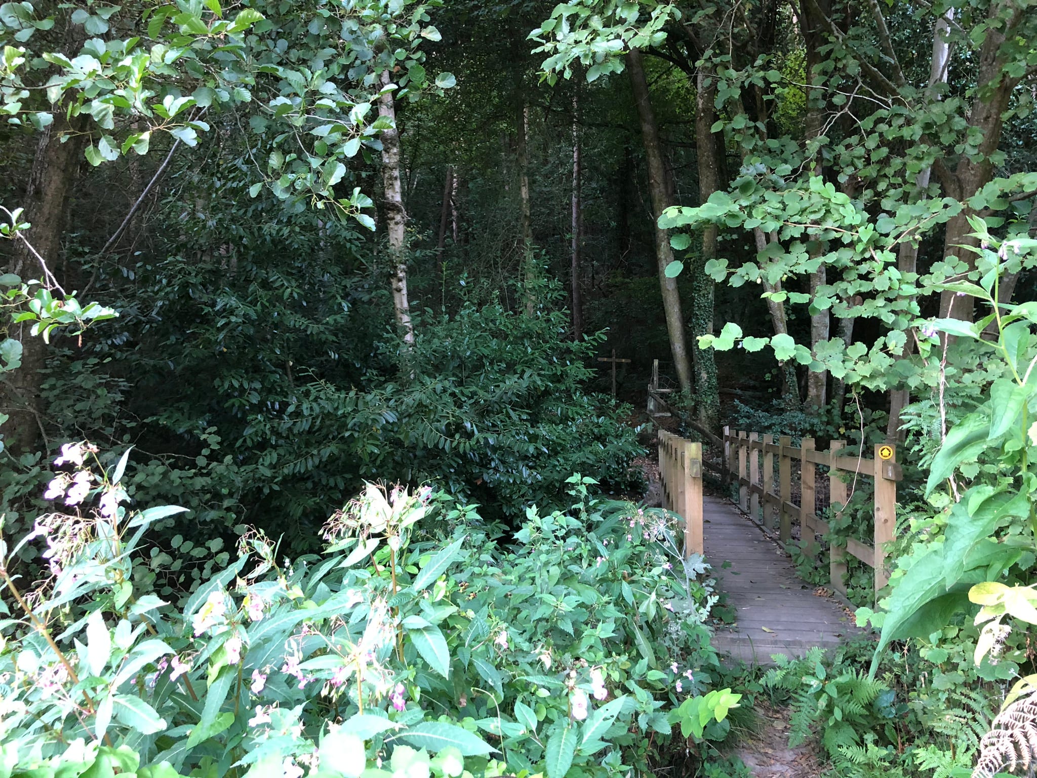 Self-Contained Holiday Cottage Accommodation In Sussex Self-Contained Holiday Cottage Accommodation In Sussex