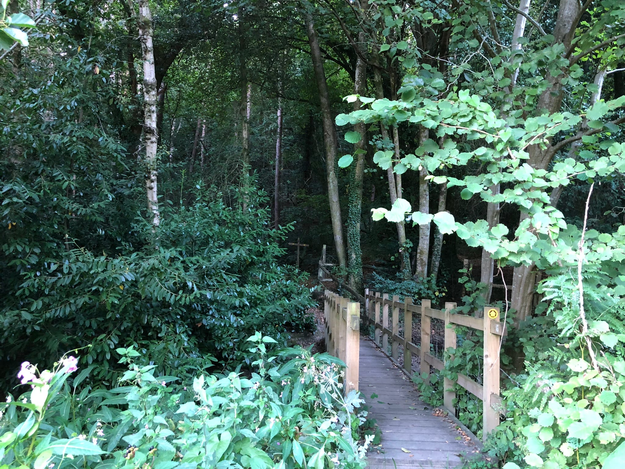 Self-Contained Holiday Cottage Accommodation In Sussex Self-Contained Holiday Cottage Accommodation In Sussex