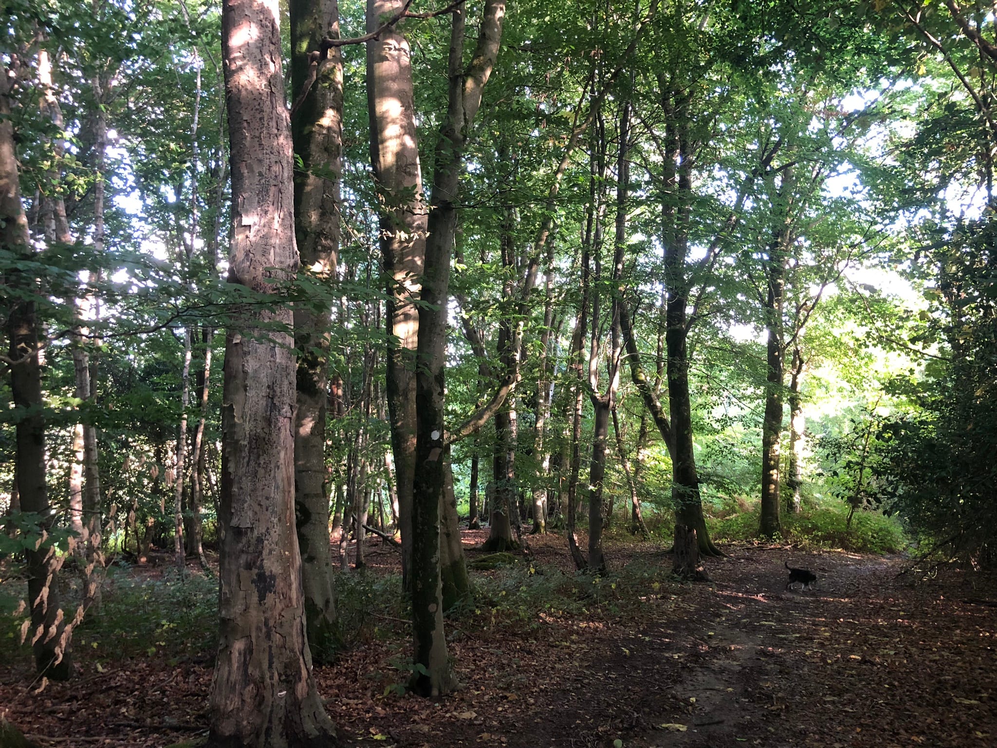 Self-Contained Holiday Cottage Accommodation In Sussex Self-Contained Holiday Cottage Accommodation In Sussex