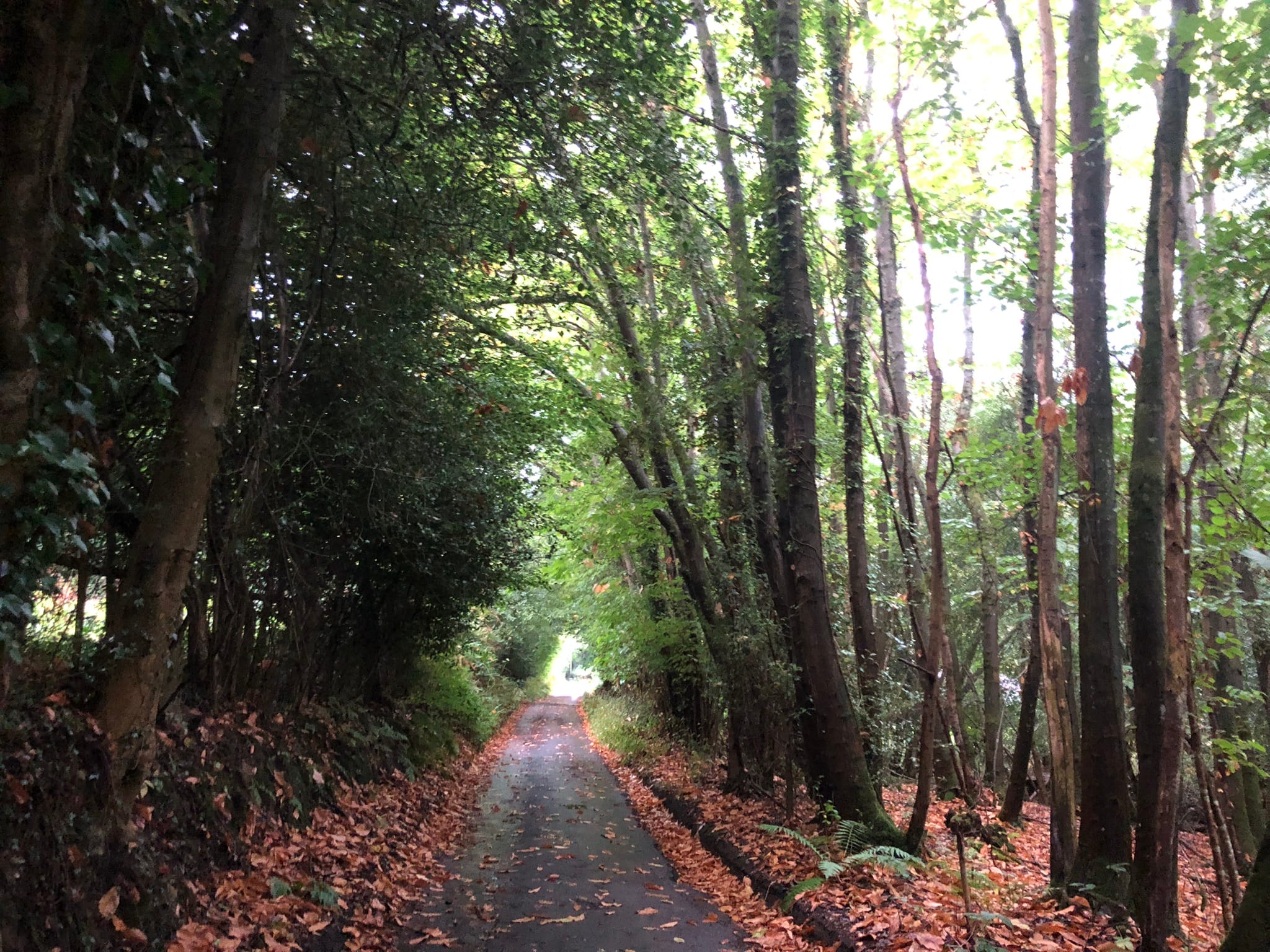 Self-Contained Holiday Cottage Accommodation In Sussex The Nest lane