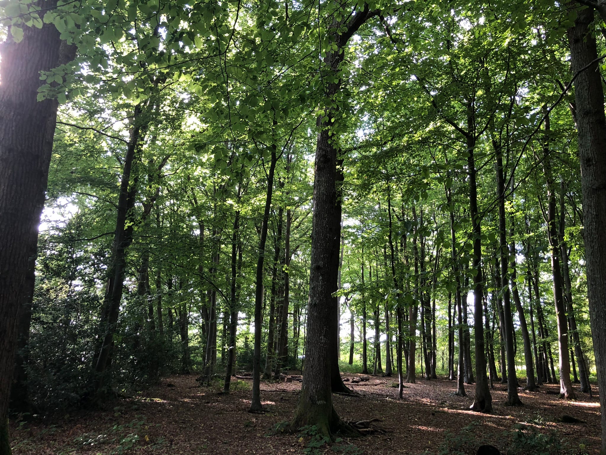 Self-Contained Holiday Cottage Accommodation In Sussex Self-Contained Holiday Cottage Accommodation In Sussex