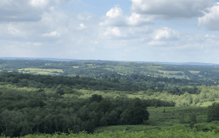 Rolling countryside landscape with green fields and woodland