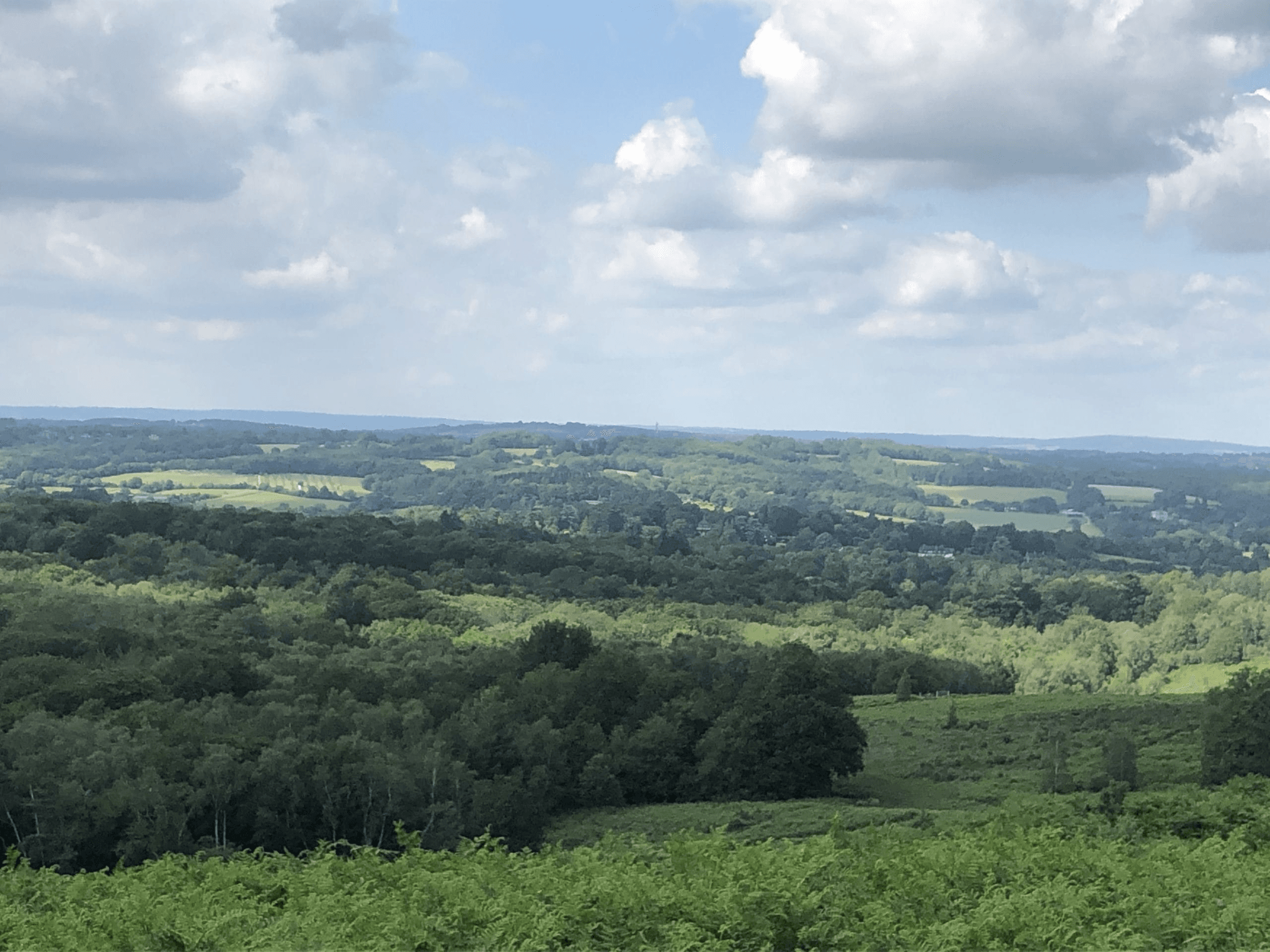 Rolling countryside landscape with green fields and woodland