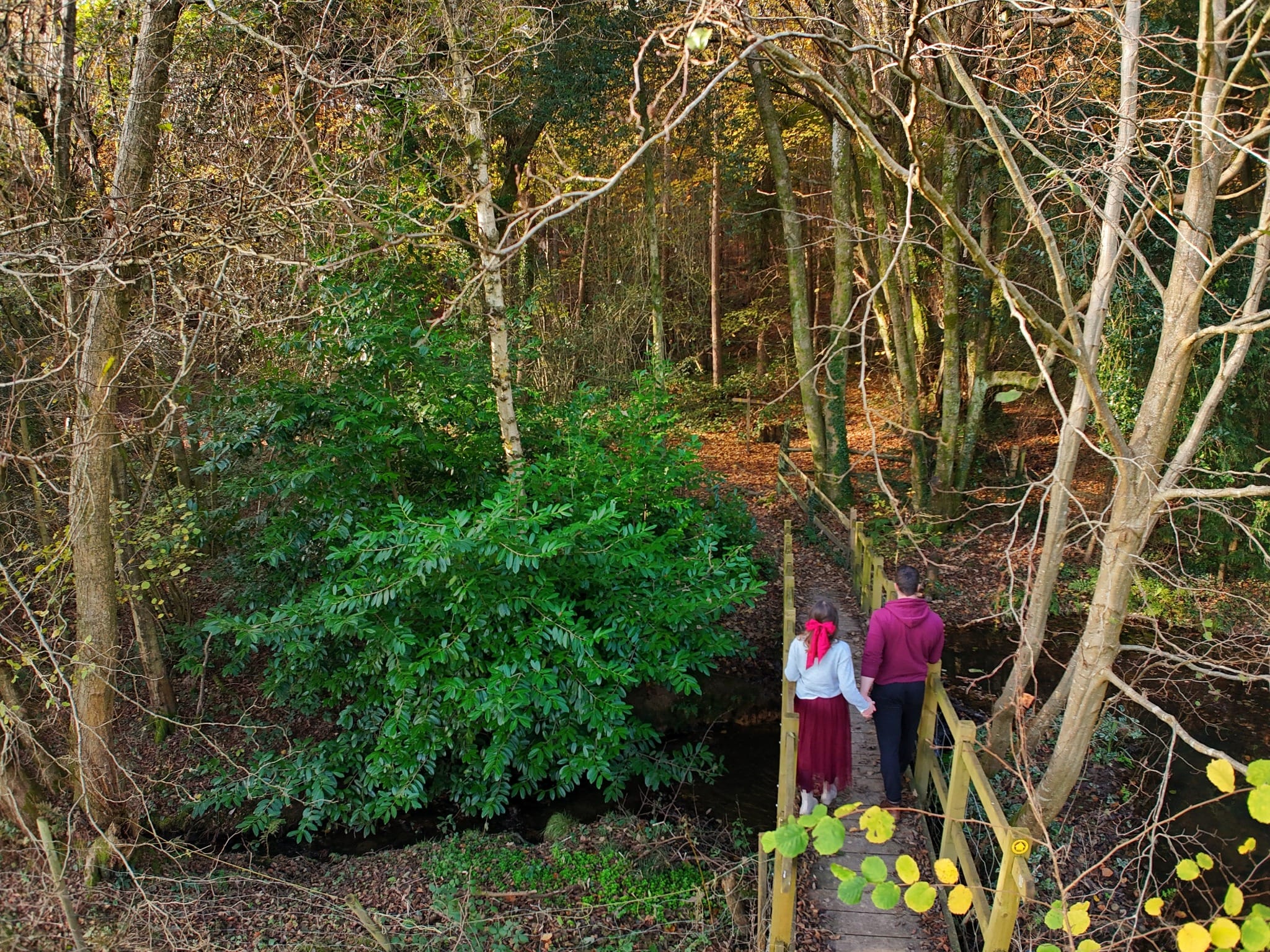 Couple walking across woodland bridge in Ashdown Forest
