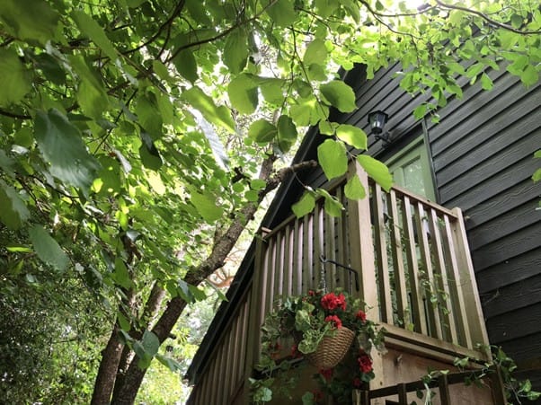 View of the exterior staircase at The Nest