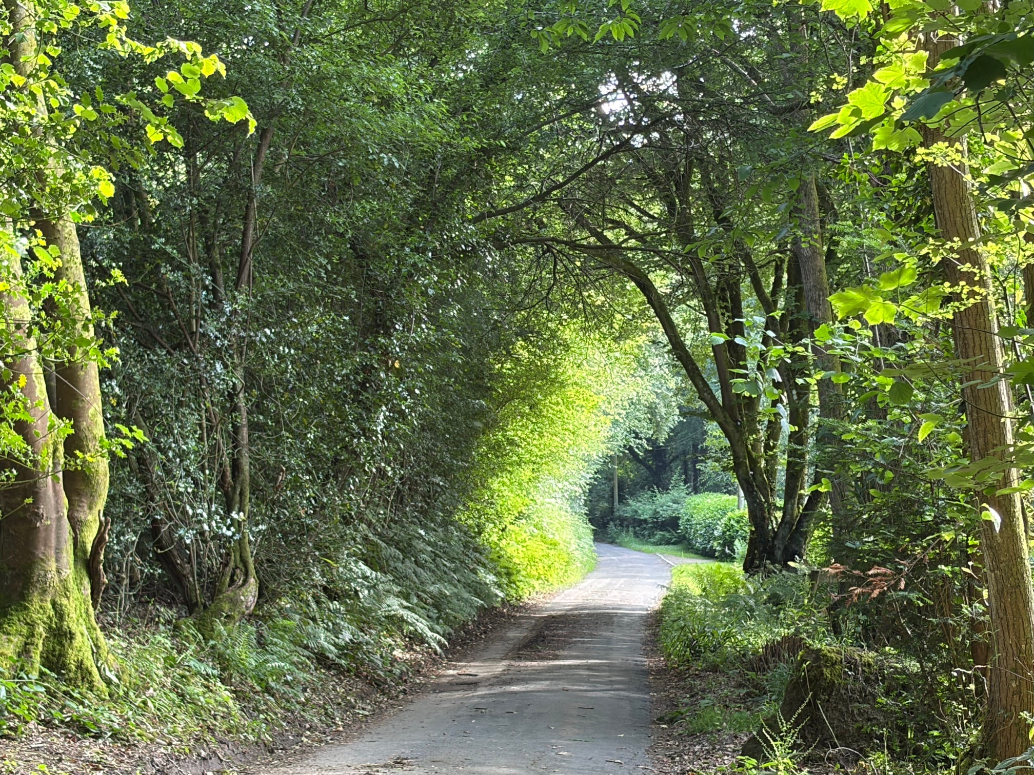 Self-Contained Holiday Cottage Accommodation In Sussex Self-Contained Holiday Cottage Accommodation In Sussex