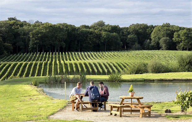 Tour_f442a767-643c-4dee-87c9-ee855a20aeea Self-Catering Holiday Cottage Accommodation In Sussex