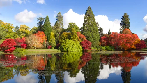 autumn-colour-and-the-lake-at-sheffield-park-and-garden-east-sussex-1601123 Self-Catering Holiday Cottage Accommodation In Sussex