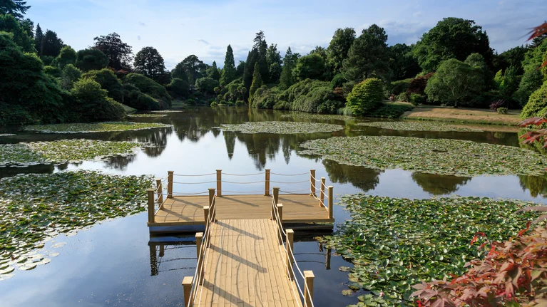 the-floating-pontoon-on-middle-lake-surrounded-by-water-lilies-at-sheffield-park-and-garden Self-Catering Holiday Cottage Accommodation In Sussex