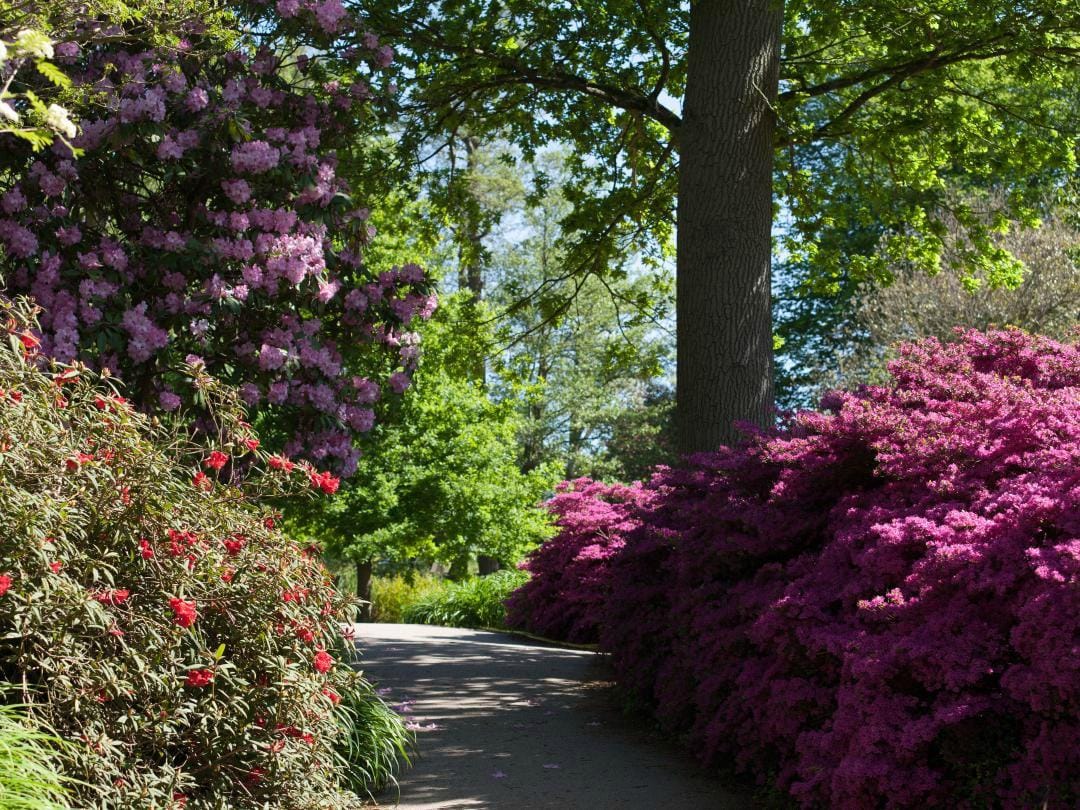 Wakehurst place 3 Self-Catering Holiday Cottage Accommodation In Sussex