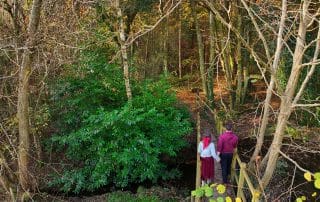 Self-Catering Holiday Cottage Accommodation In Sussex