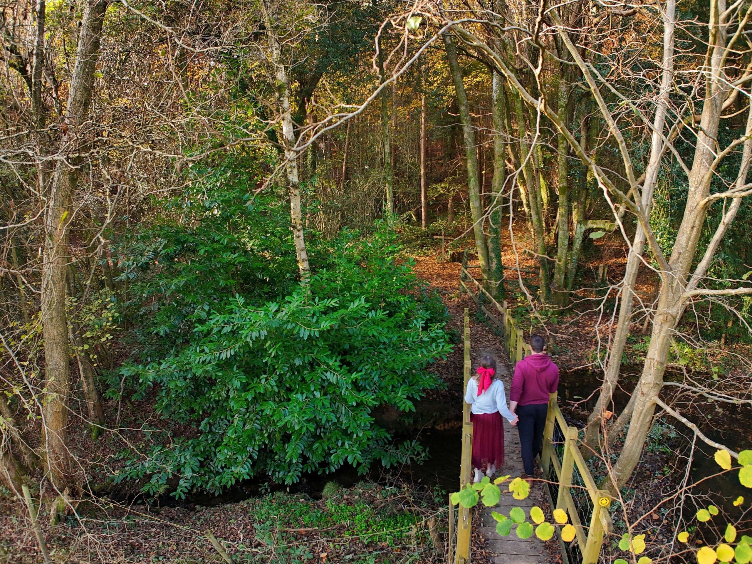 Self-Catering Holiday Cottage Accommodation In Sussex