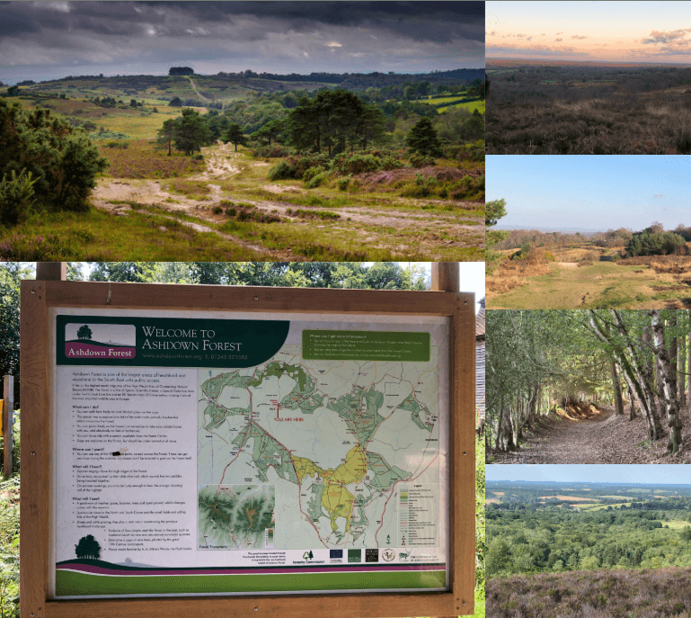 Self-Catering Holiday Cottage Accommodation In Sussex Collage of Ashdown Forest showing heathland, woodland trails, countryside views and a visitor map
