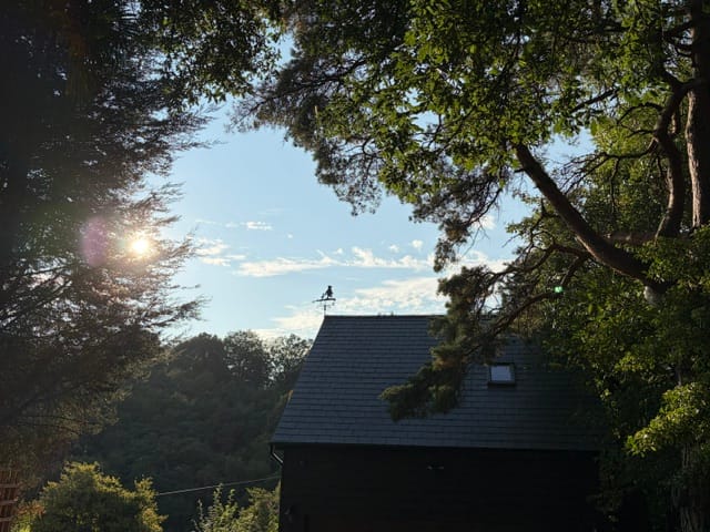 Self-Catering Holiday Cottage Accommodation In Sussex The Nest Danehill cottage surrounded by woodland at sunset