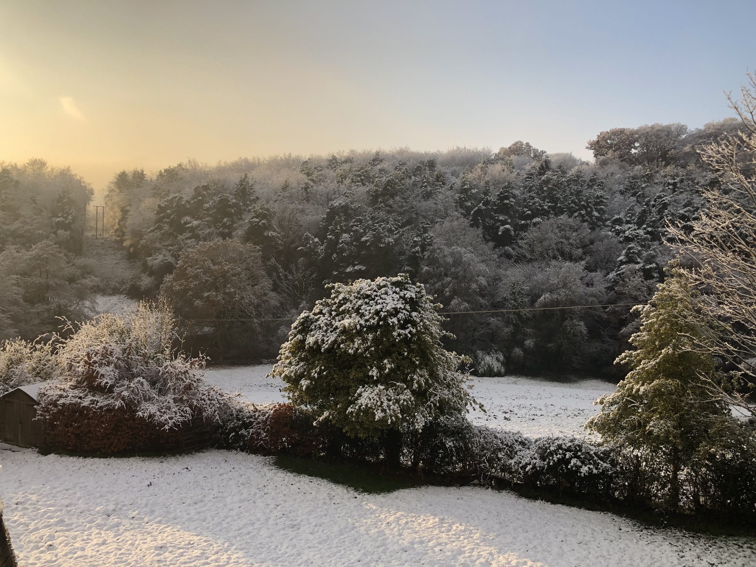 Self-Catering Holiday Cottage Accommodation In Sussex