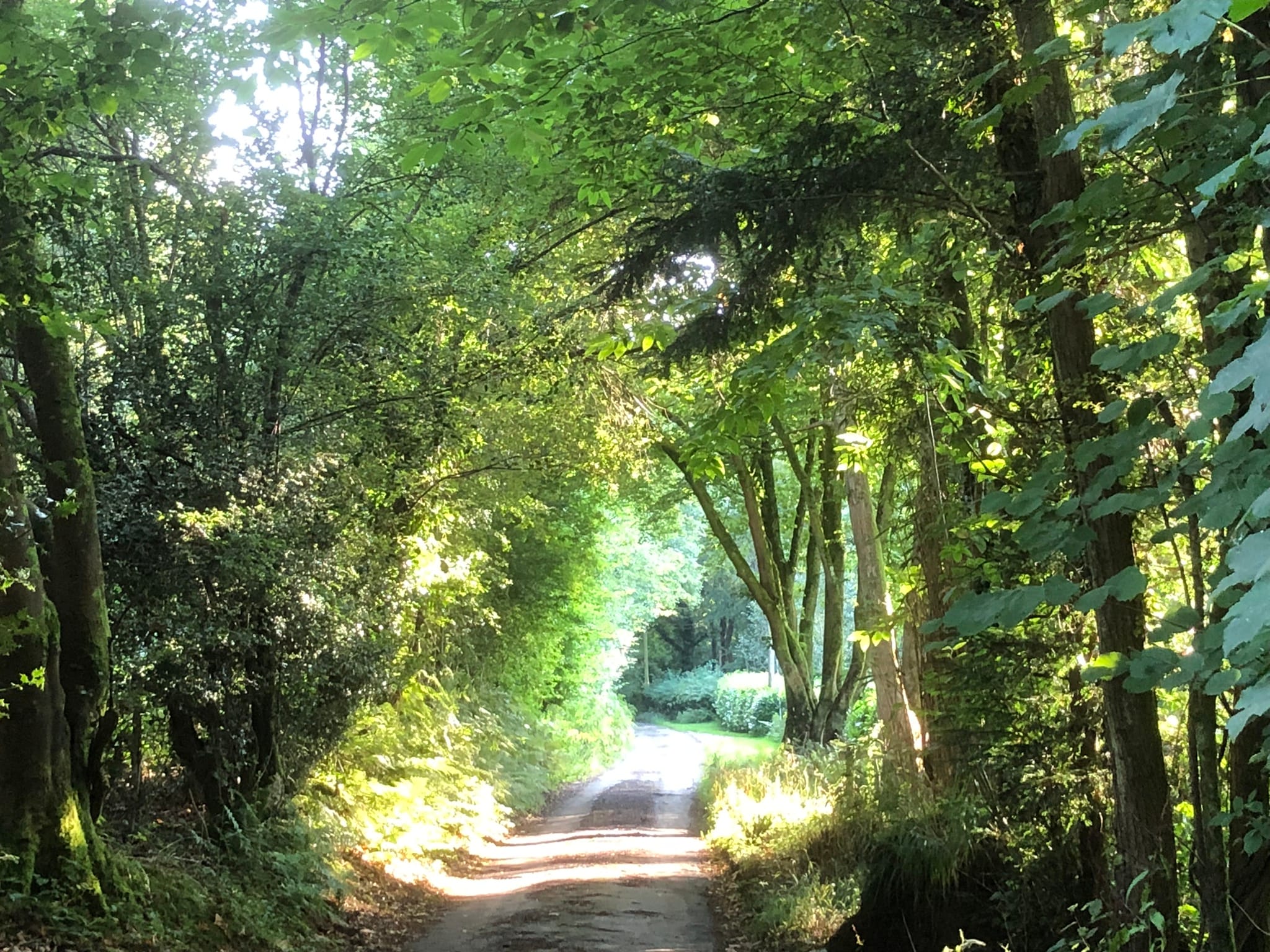 Self-Catering Holiday Cottage Accommodation In Sussex Peaceful tree-lined country lane near The Nest Danehill in East Sussex