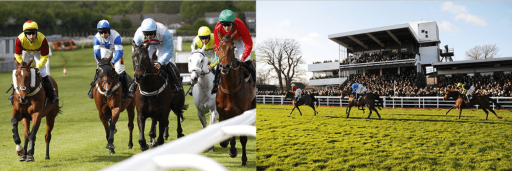 Self-Catering Holiday Cottage Accommodation In Sussex Horse racing at Plumpton Racecourse with jockeys competing in front of spectators