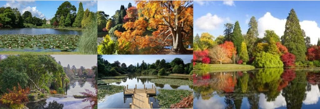 Self-Catering Holiday Cottage Accommodation In Sussex Collage of Sheffield Park and Garden showing lakes, colourful trees and landscaped grounds